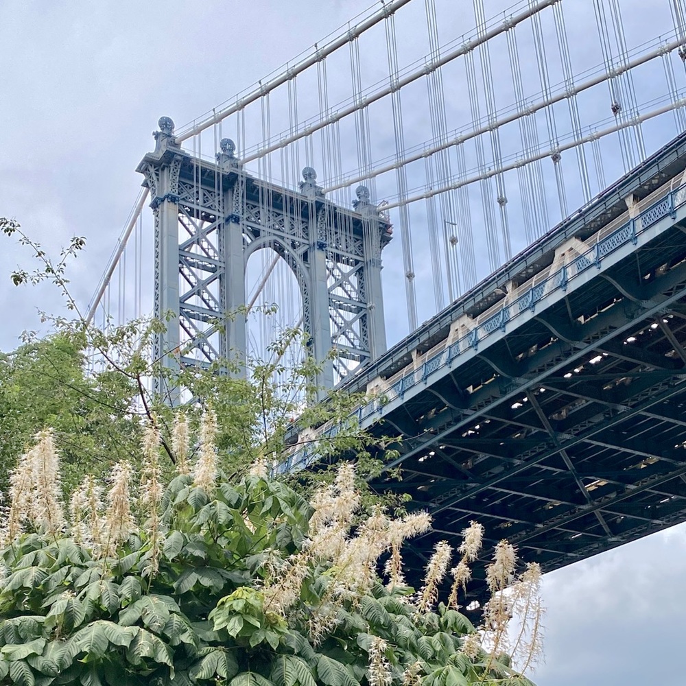 Meet your Posher, Barbara